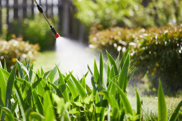 24/7 Emergency Mosquito Control experts in McCormick, SC